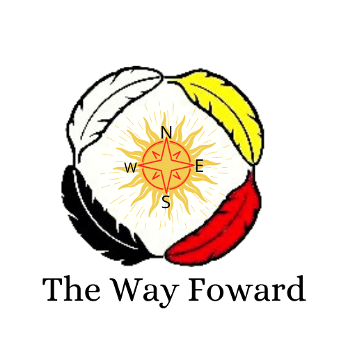 native council of pei - the way forward